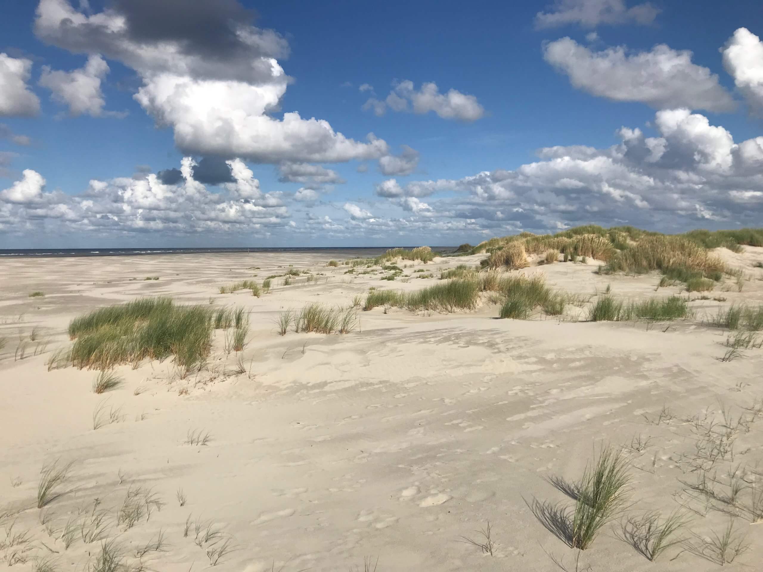 Dunes on Schiermonnikhoog beach