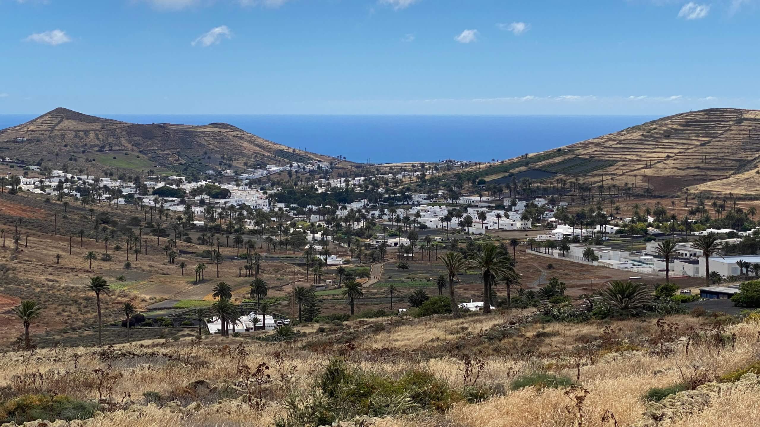 Campagne à Lanzarote