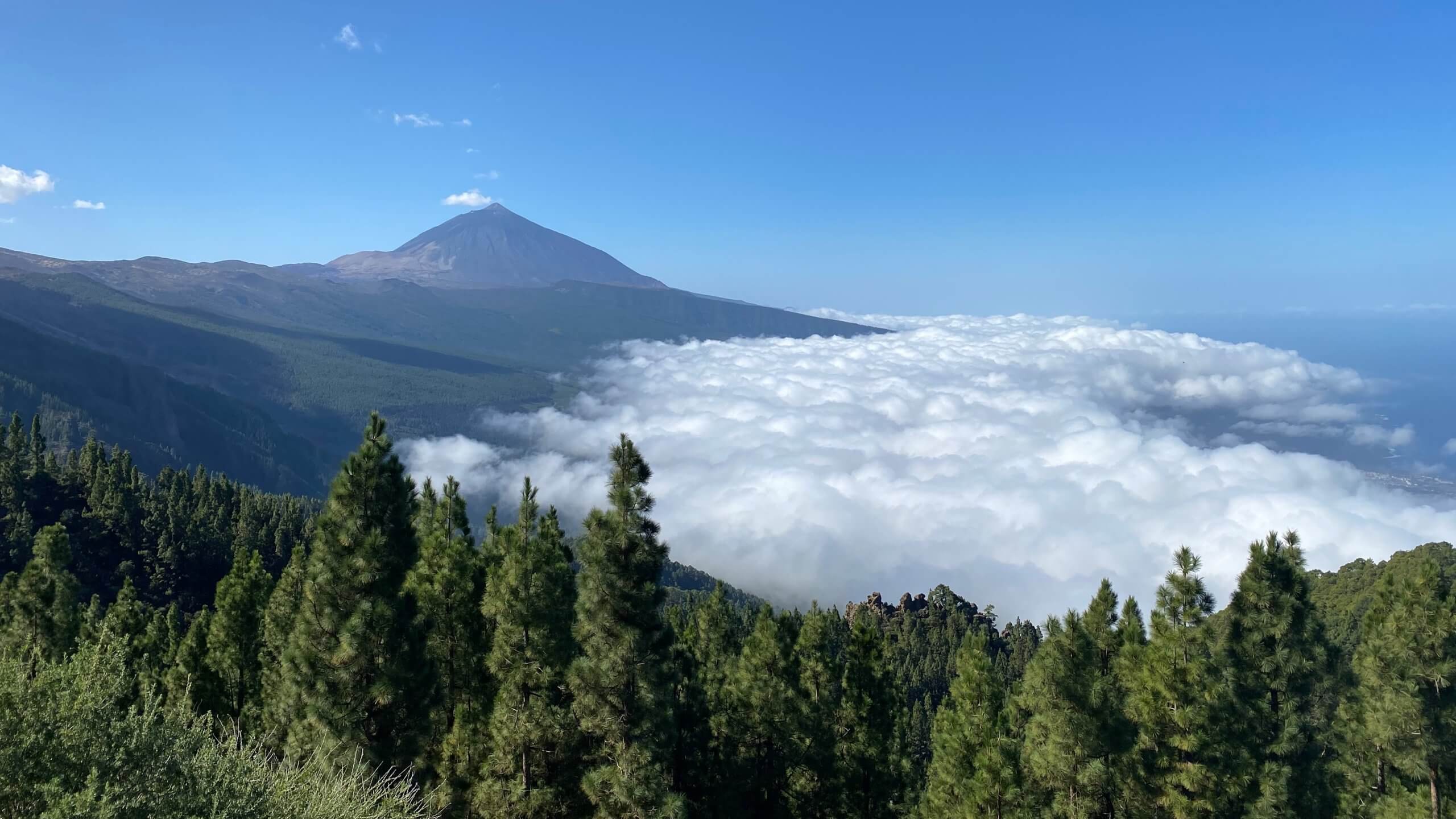 From Tenerife to Gran Canaria - Travels of a life