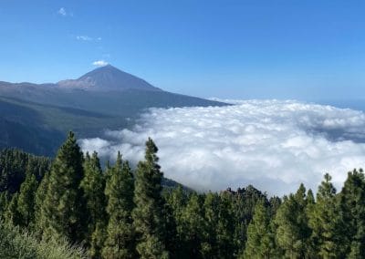 De Tenerife à la Grande Canarie