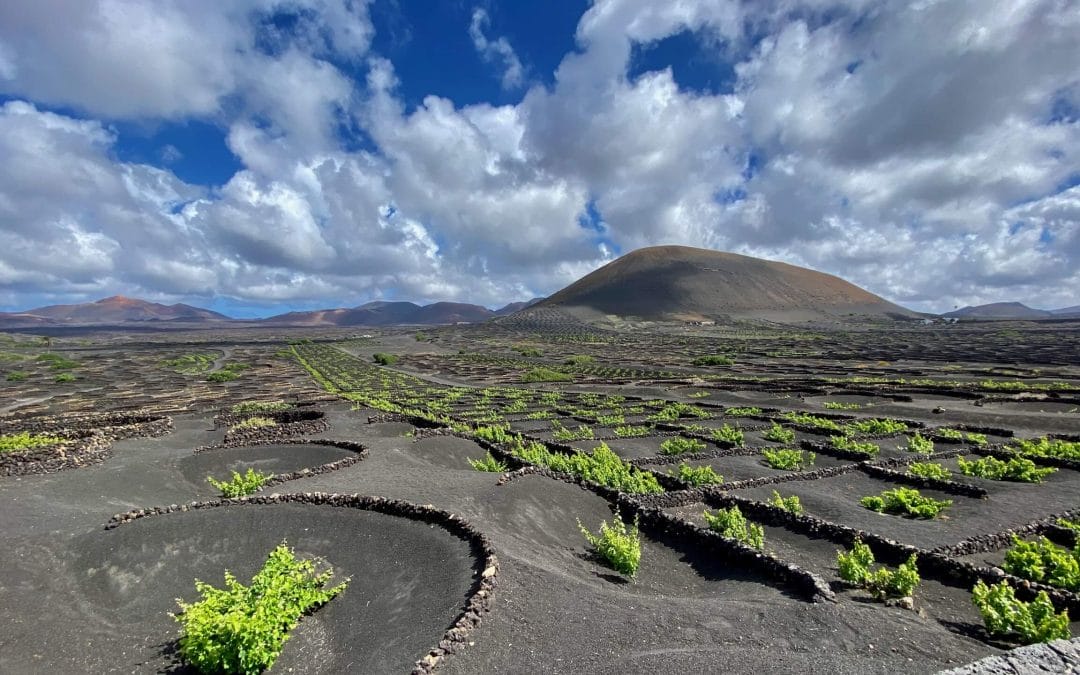 De Fuerteventura à Lanzarote