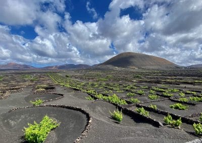 De Fuerteventura à Lanzarote