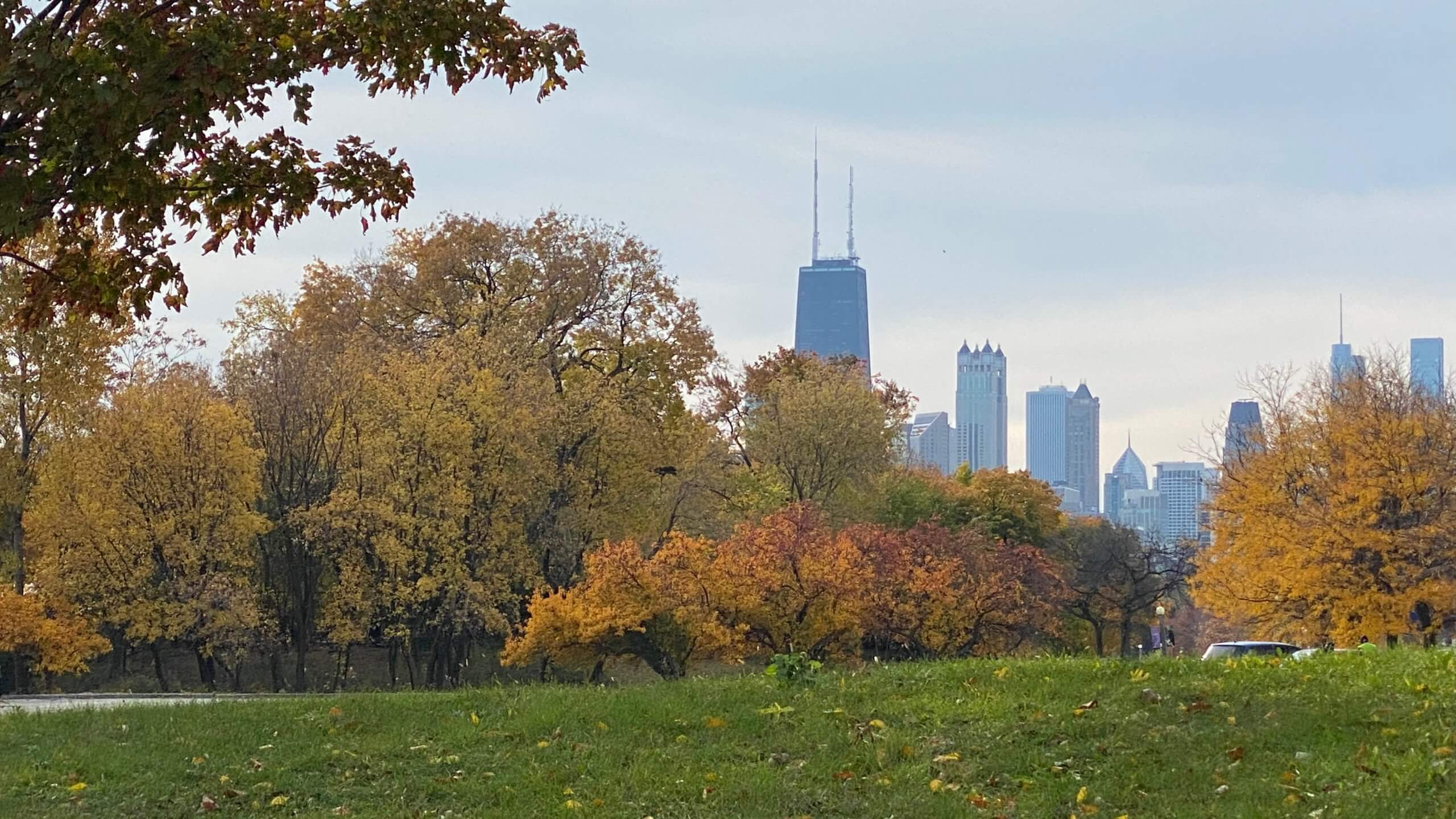 Lincoln park