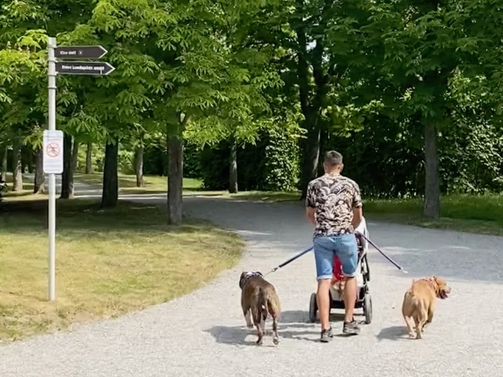 Papa Suédois avec poussette