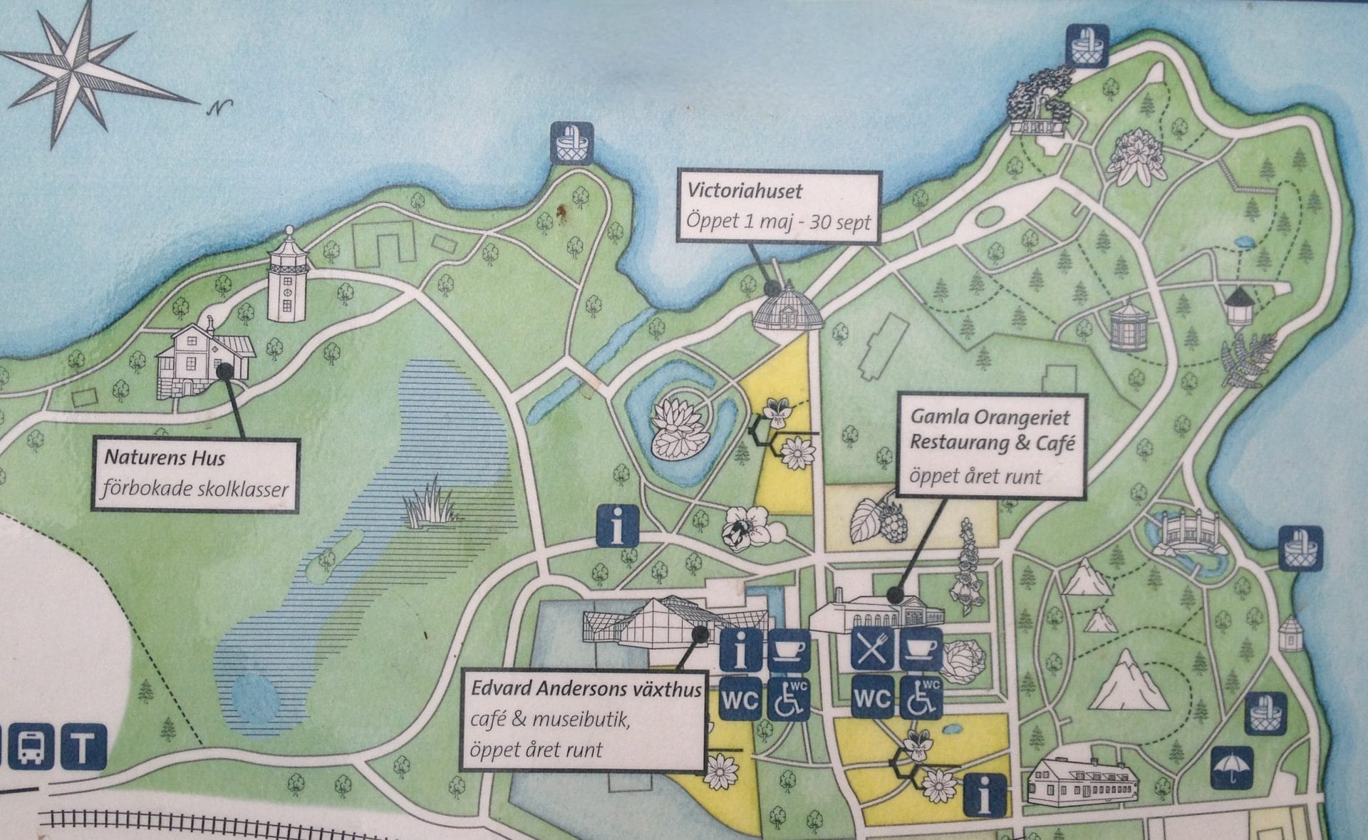 Bergianska trädgården