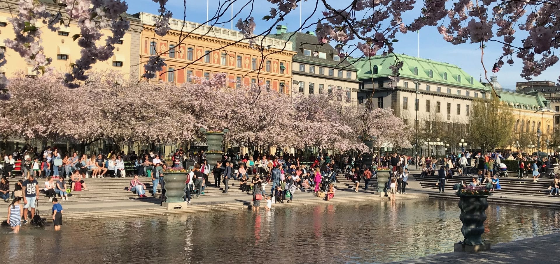 Kungsträdgården