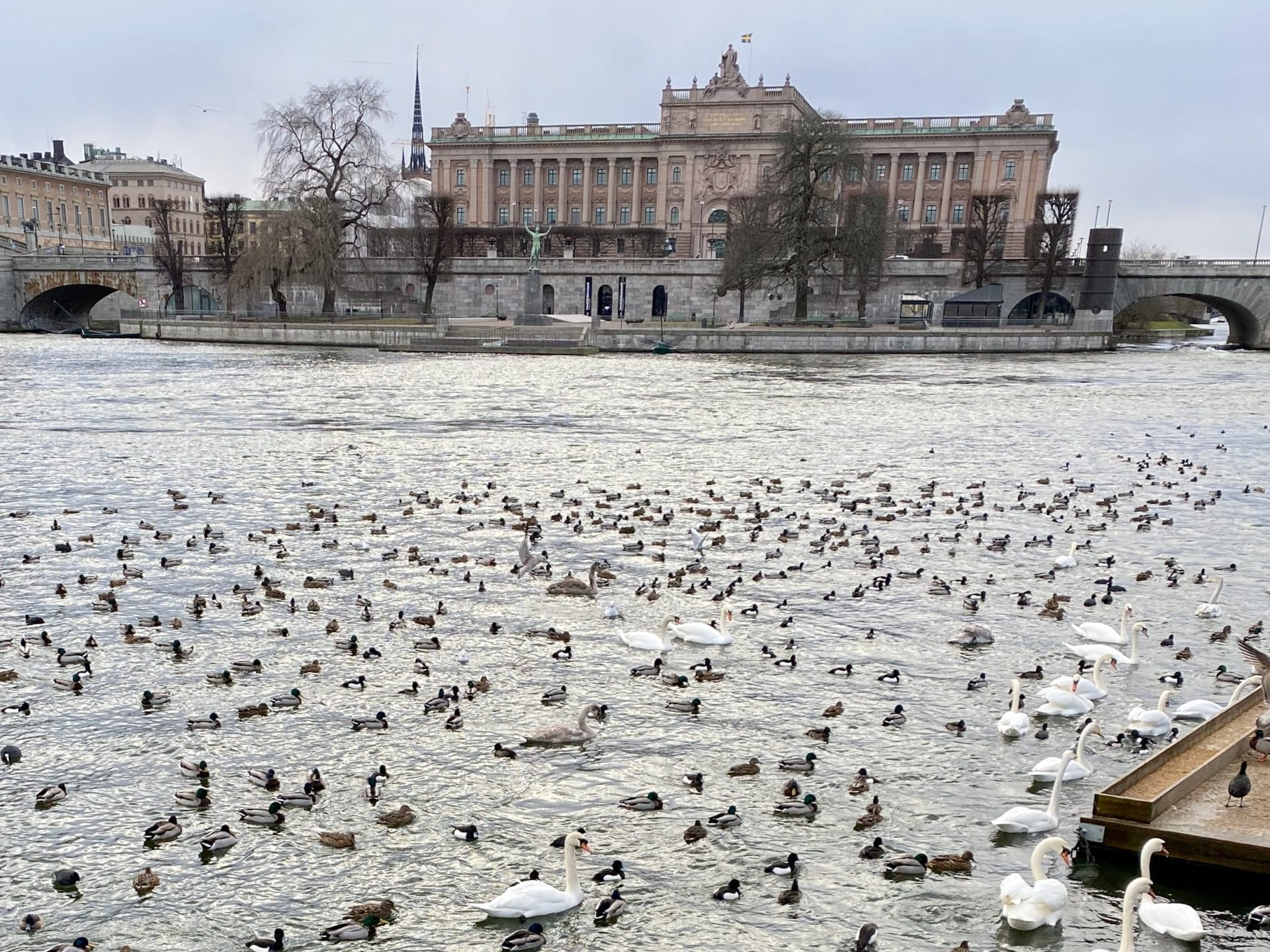 Parliament and public ministries