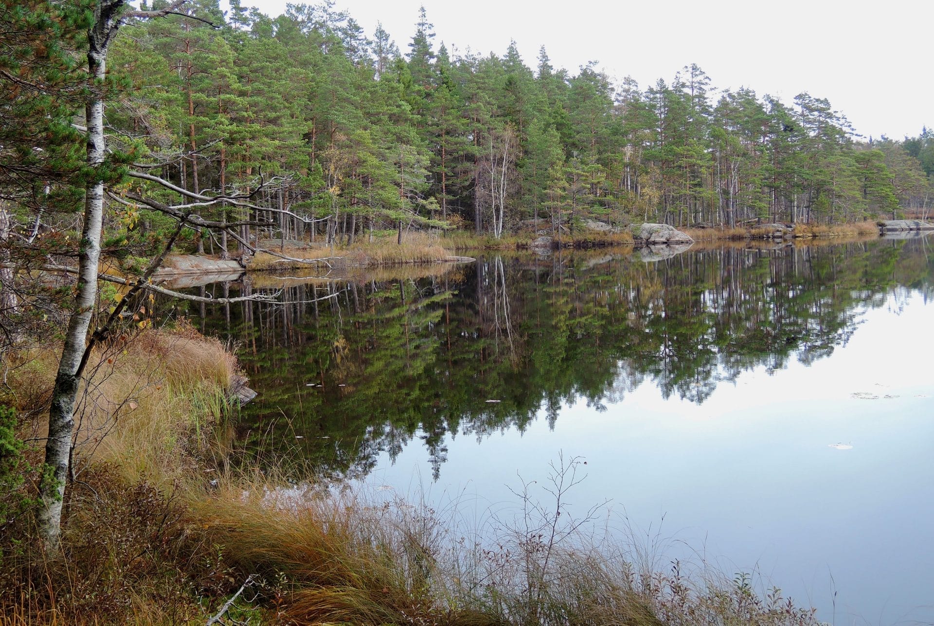 Tyresta National Park