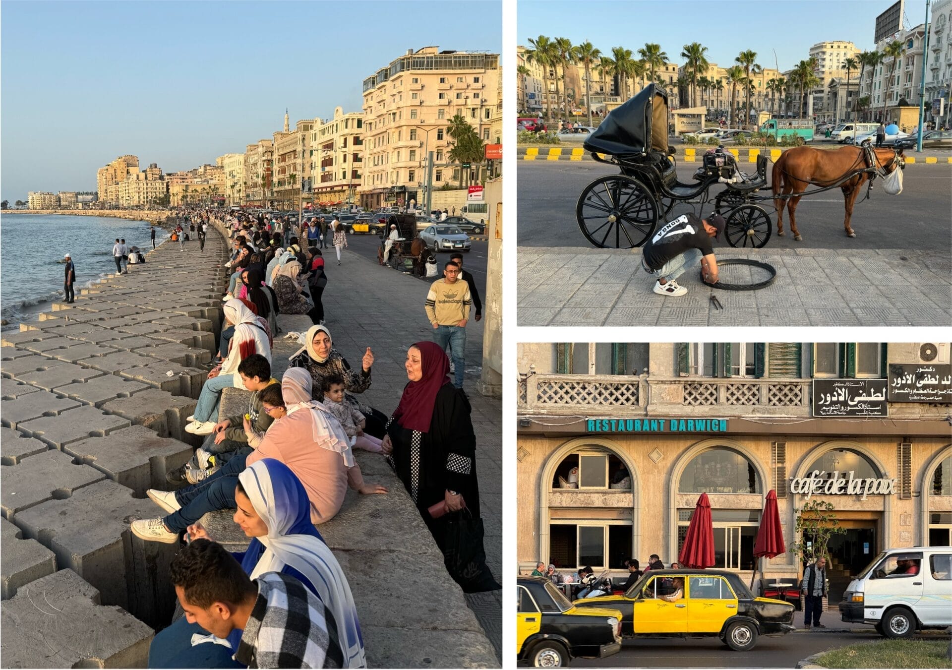 Ambiance sur la corniche à Alexandrie