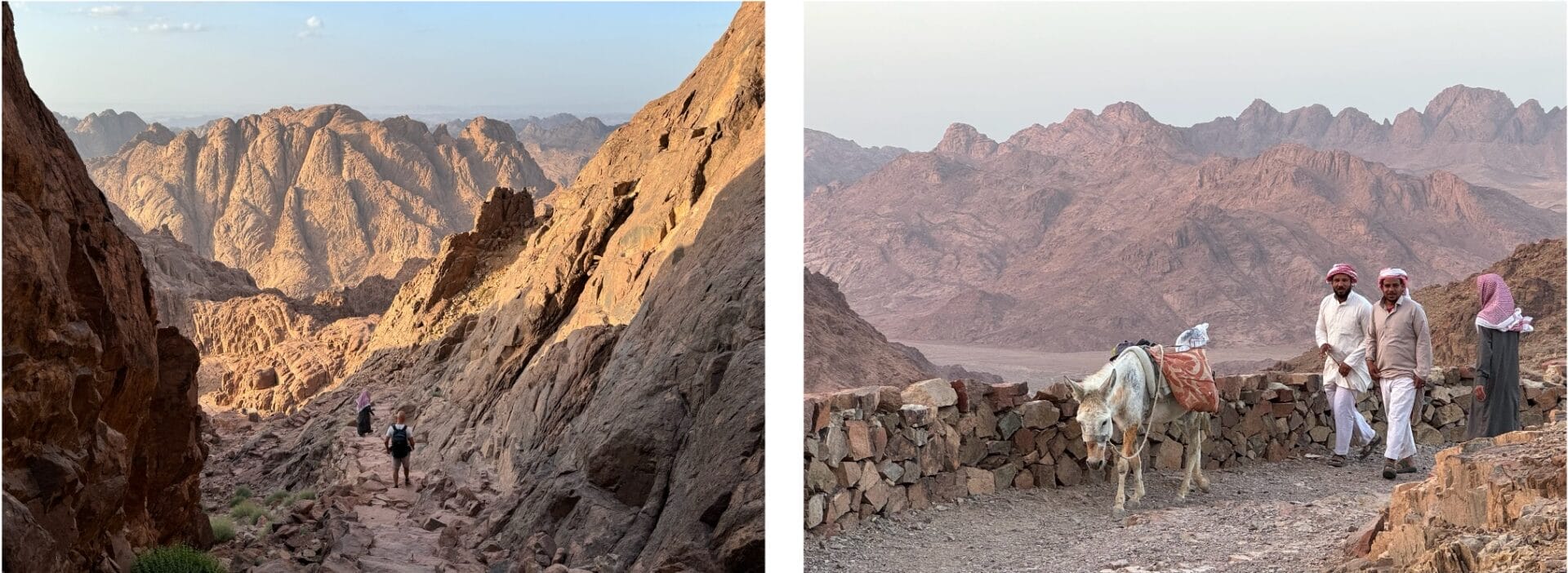 Redescente du Mont Sinai