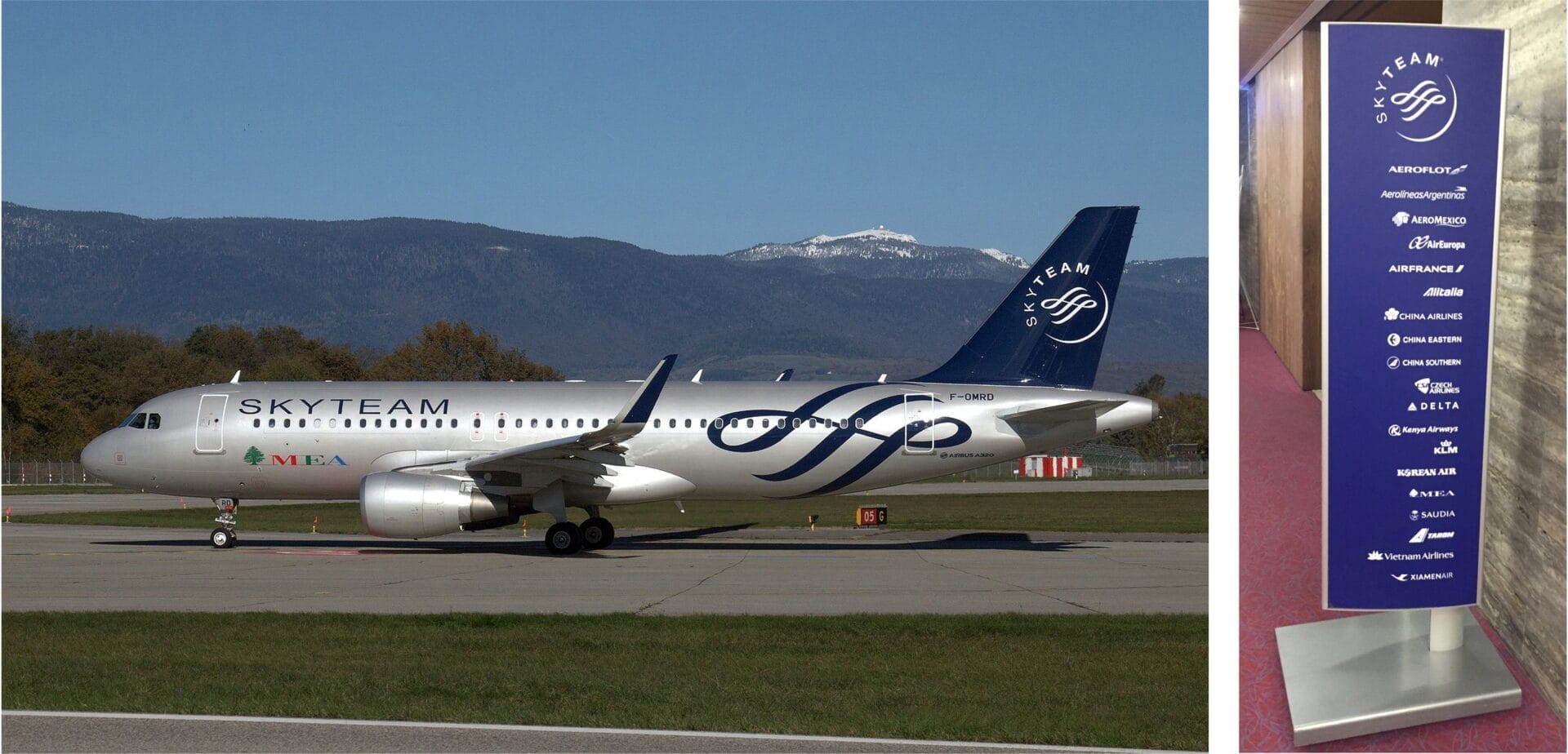 SkyTeam Aircraft livery