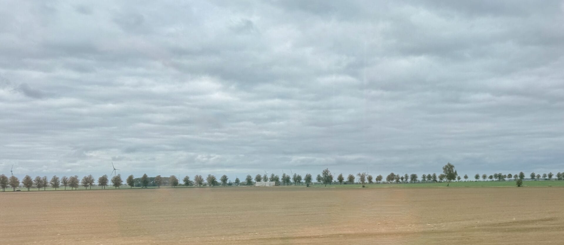 Plaines du nord de l'Allemagne