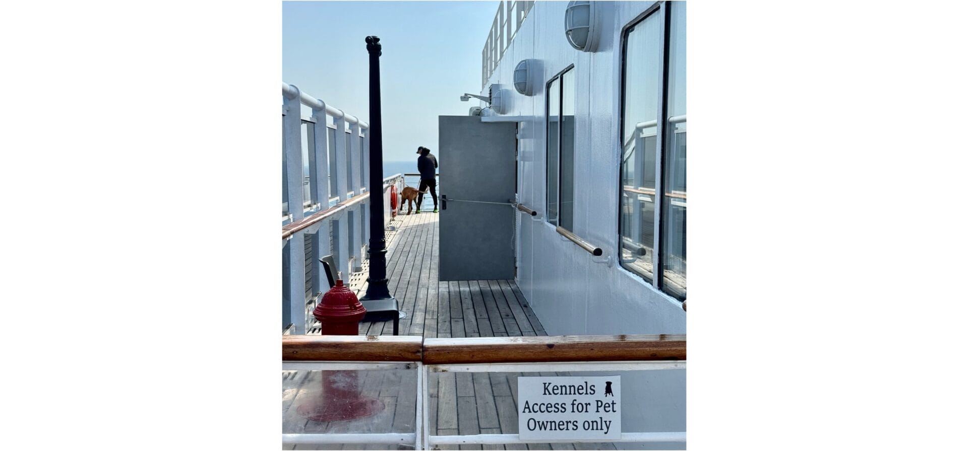 Service VIP QM2 chiens