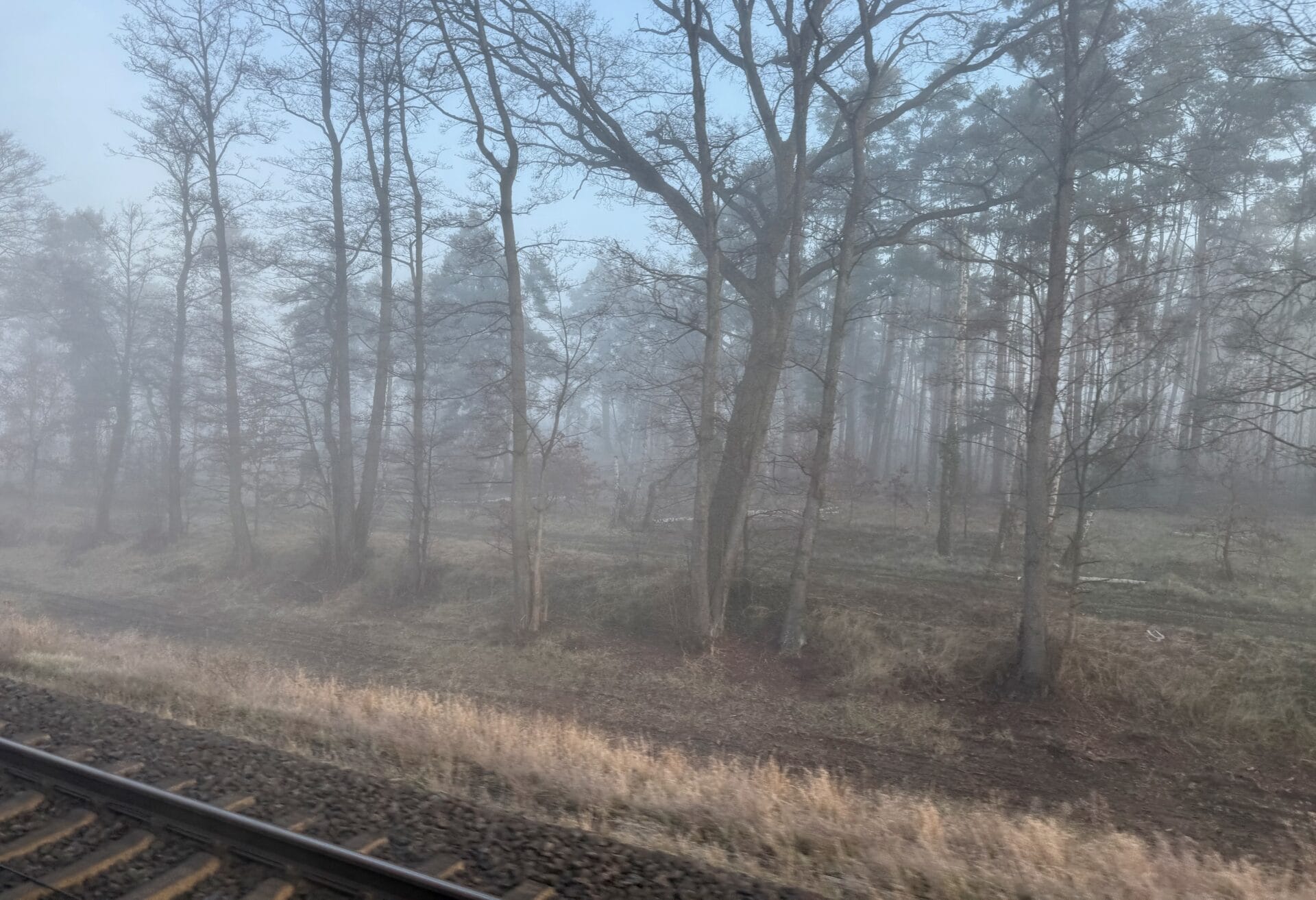 Saxe-Anhalt