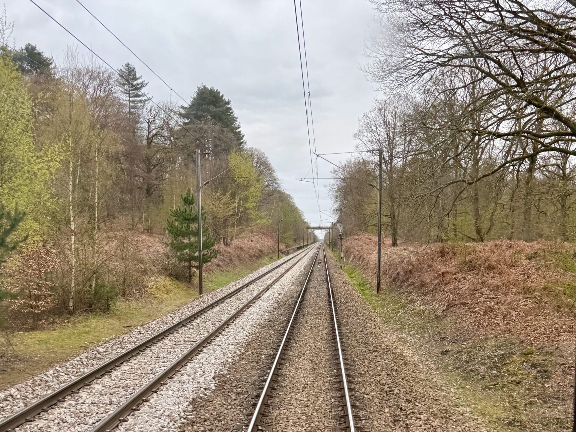 Vue arrière du train