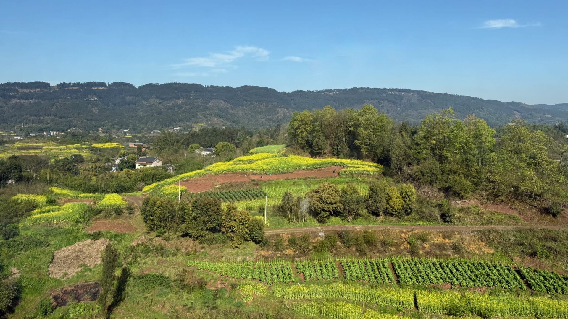 Sichuan